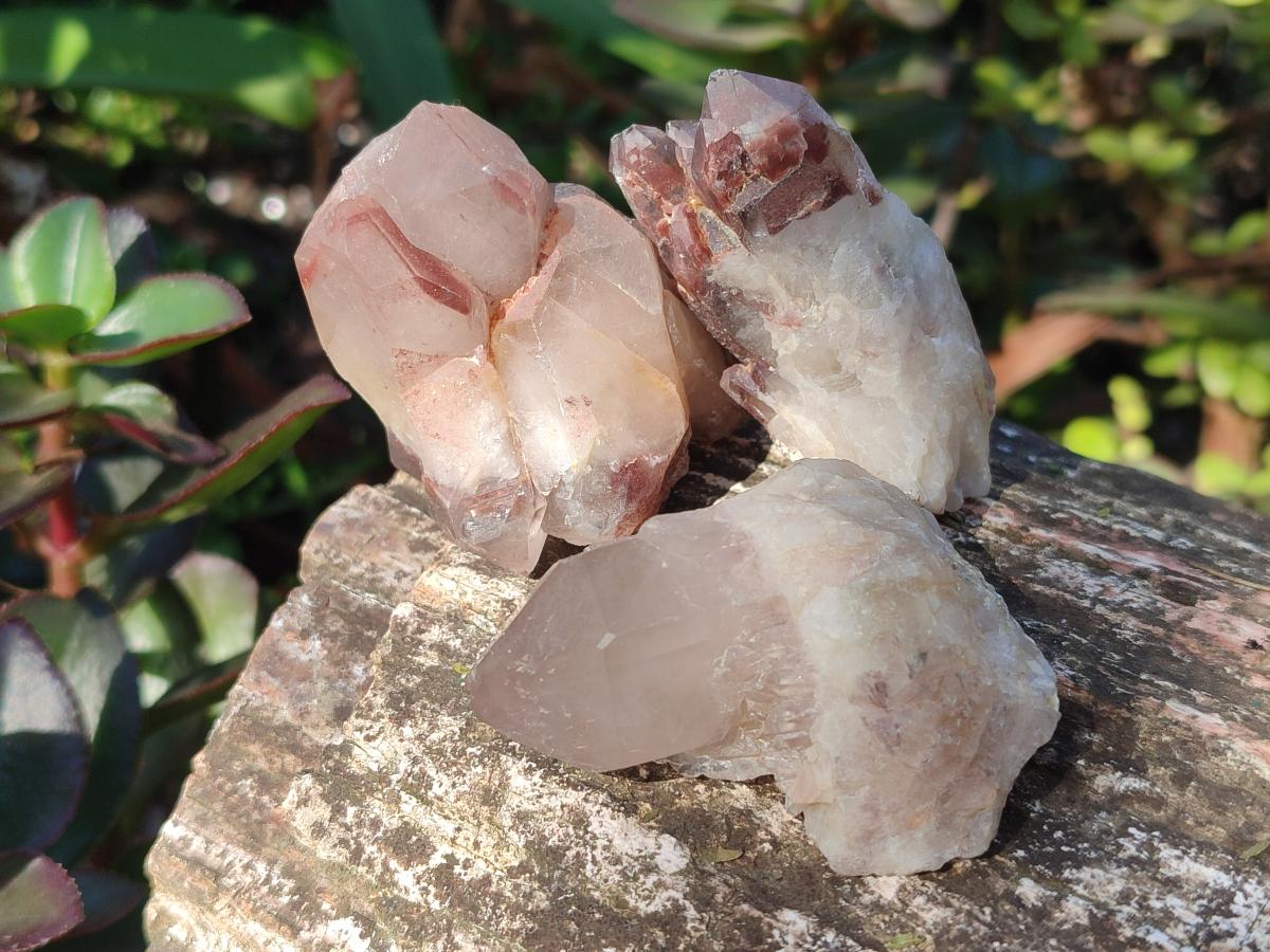Natural Red Hematoid Quartz Crystals x 24 From Karoi, Zimbabwe - Toprock Gemstones and Minerals 
