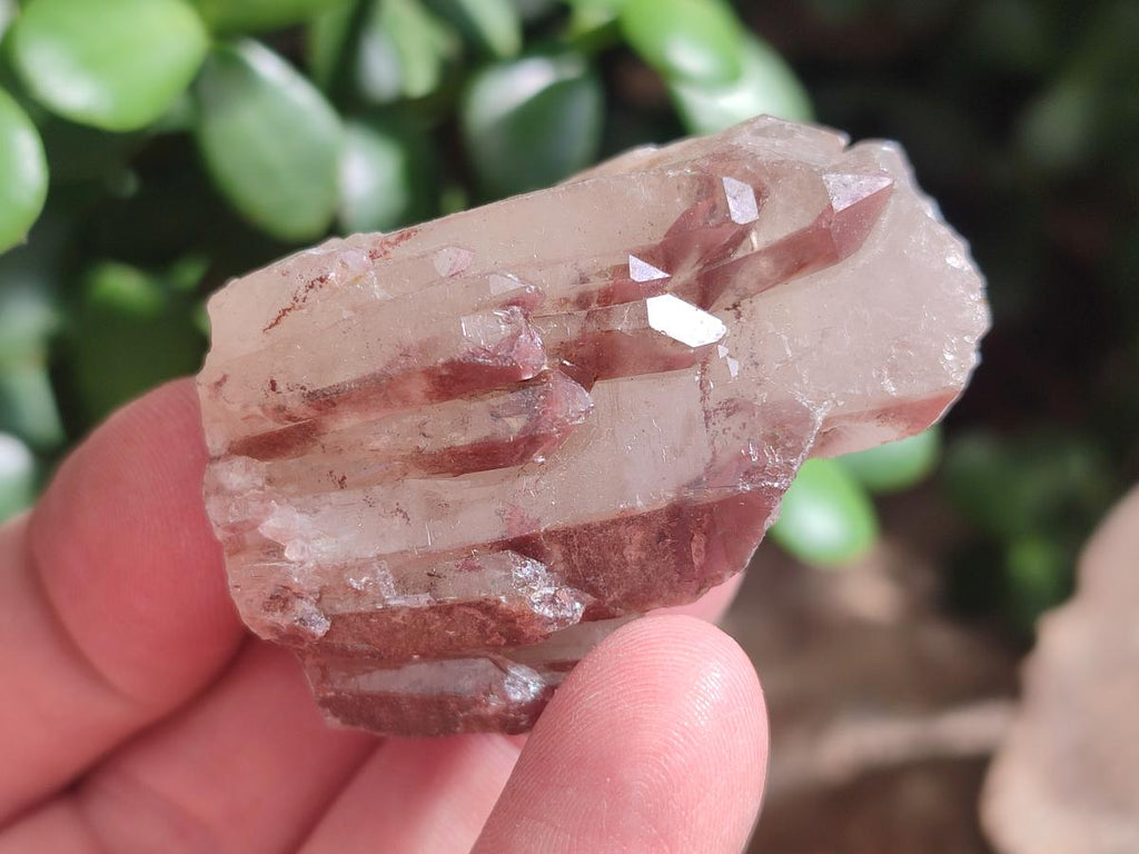 Natural Red Hematoid Quartz Crystals x 24 From Karoi, Zimbabwe - Toprock Gemstones and Minerals 