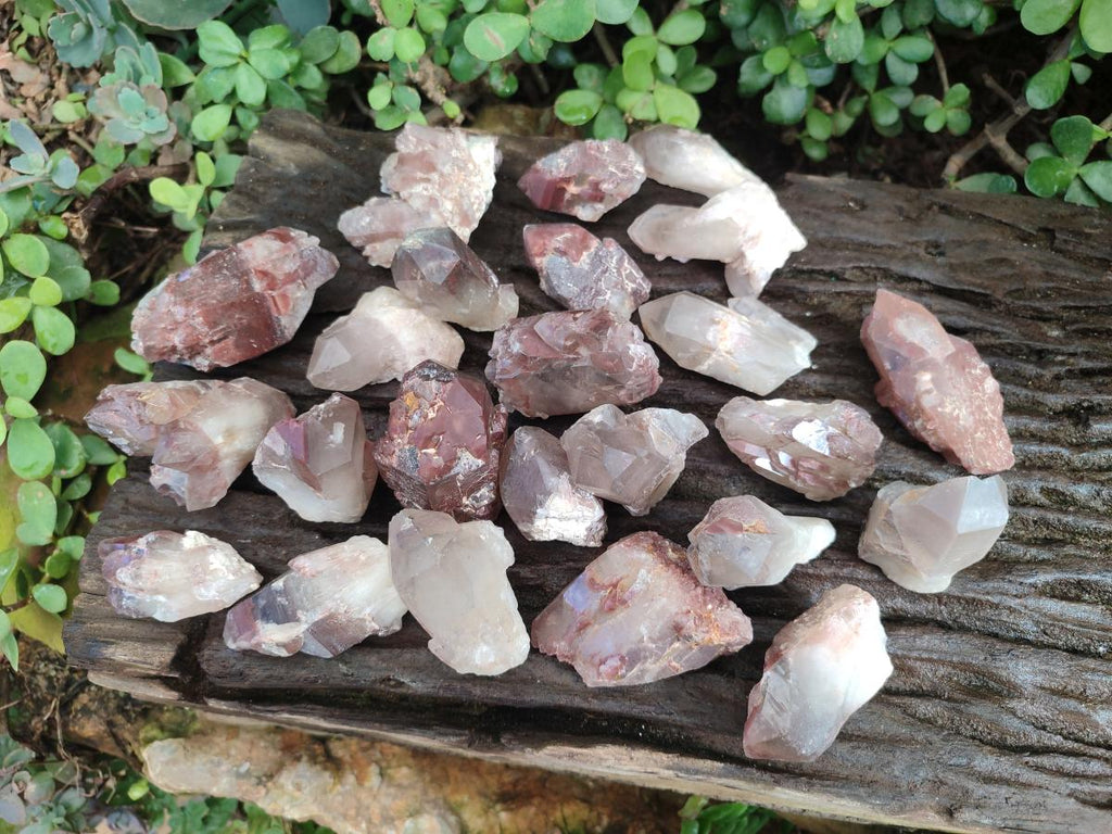 Natural Red Hematoid Quartz Crystals x 24 From Karoi, Zimbabwe - Toprock Gemstones and Minerals 