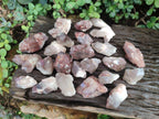Natural Red Hematoid Quartz Crystals x 24 From Karoi, Zimbabwe - Toprock Gemstones and Minerals 
