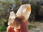 Natural Red Hematoid Quartz Crystals x 24 From Karoi, Zimbabwe - Toprock Gemstones and Minerals 