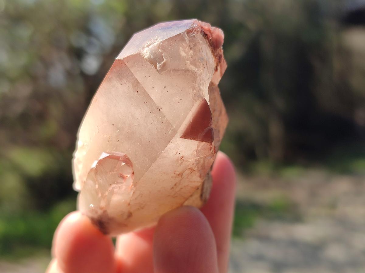 Natural Red Hematoid Quartz Crystals x 24 From Karoi, Zimbabwe - Toprock Gemstones and Minerals 