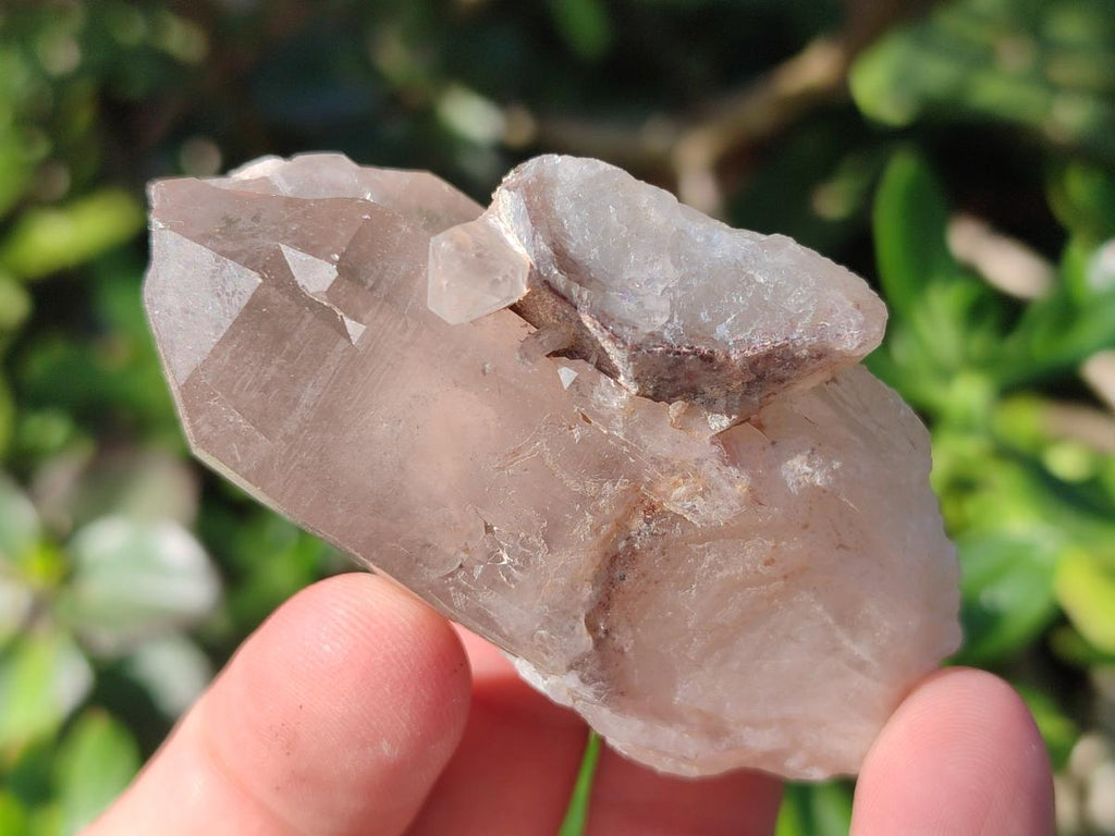 Natural Red Hematoid Quartz Crystals x 24 From Karoi, Zimbabwe - Toprock Gemstones and Minerals 