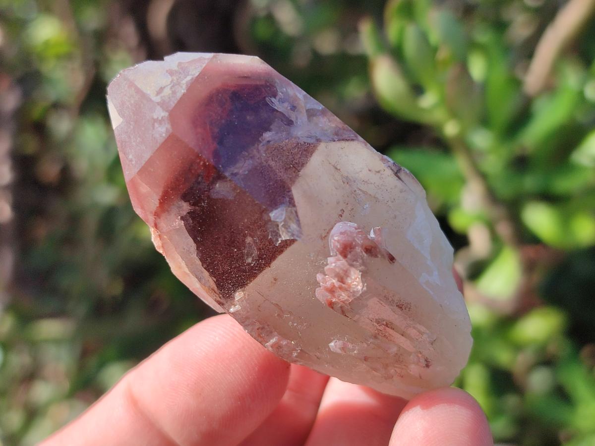 Natural Red Hematoid Quartz Crystals x 24 From Karoi, Zimbabwe - Toprock Gemstones and Minerals 
