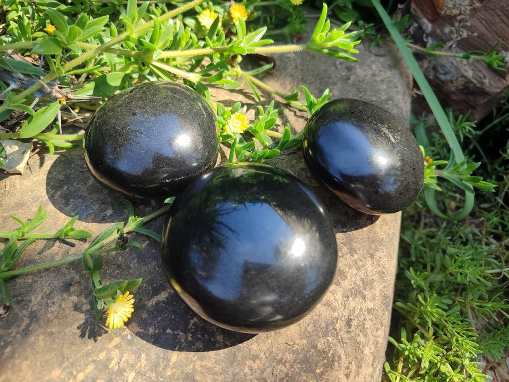 Polished Large Black Basalt Galets x 12 From Madagascar - Toprock Gemstones and Minerals 
