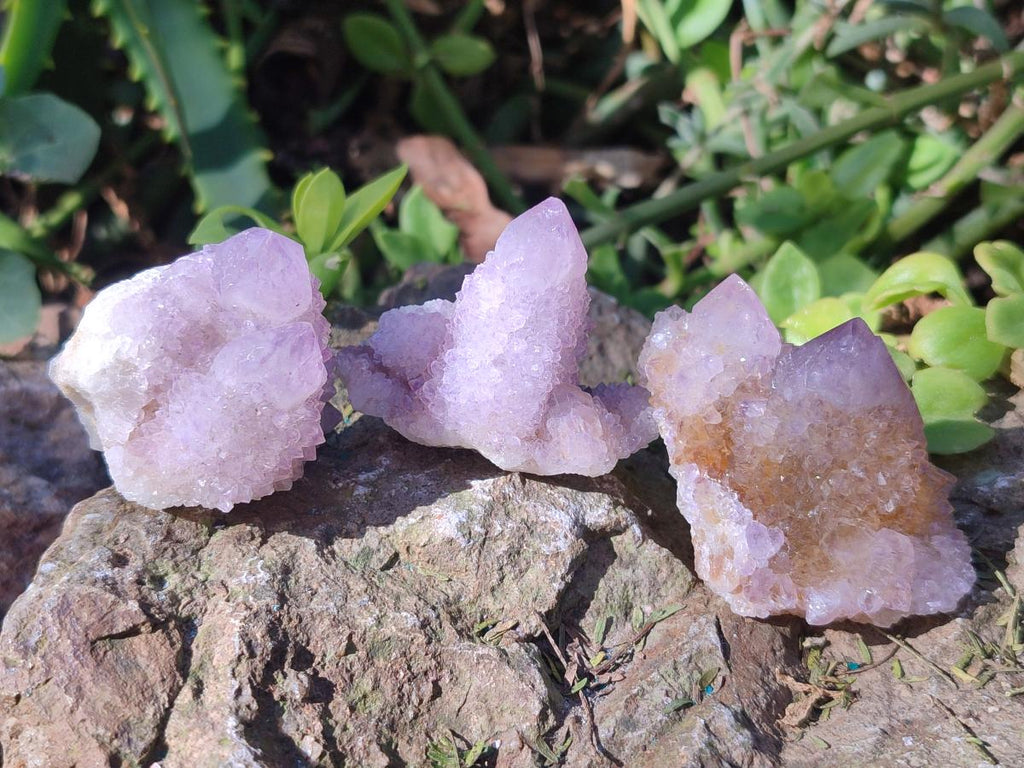 Natural Spirit Amethyst Crystals x 35 From Boekenhouthoek, South Africa - Toprock Gemstones and Minerals 