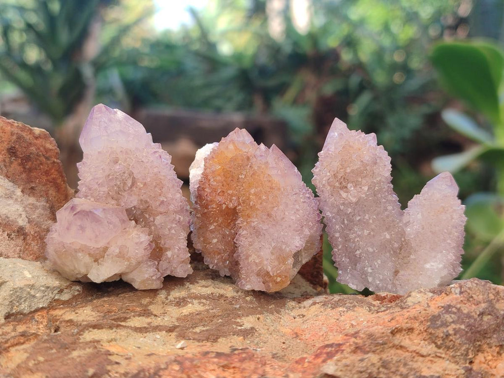 Natural Spirit Amethyst Crystals x 35 From Boekenhouthoek, South Africa - Toprock Gemstones and Minerals 