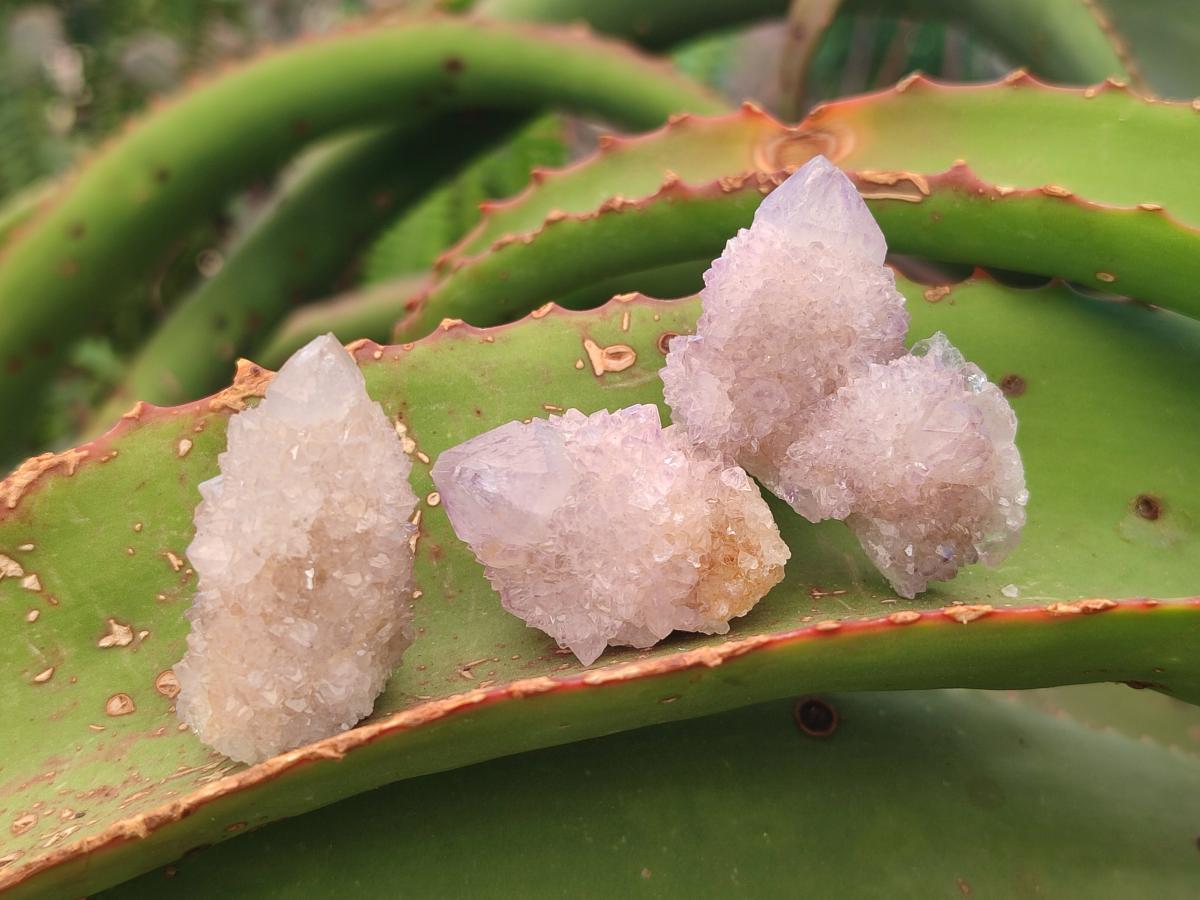 Natural Spirit Amethyst Crystals x 35 From Boekenhouthoek, South Africa - Toprock Gemstones and Minerals 