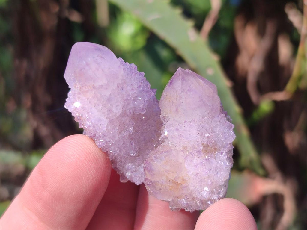 Natural Spirit Amethyst Crystals x 35 From Boekenhouthoek, South Africa - Toprock Gemstones and Minerals 