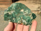 Polished One Side Mtorolite Chrysoprase Slices x 12 From Mutorashanga, Zimbabwe - Toprock Gemstones and Minerals 