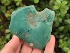 Polished One Side Mtorolite Chrysoprase Slices x 12 From Mutorashanga, Zimbabwe - Toprock Gemstones and Minerals 