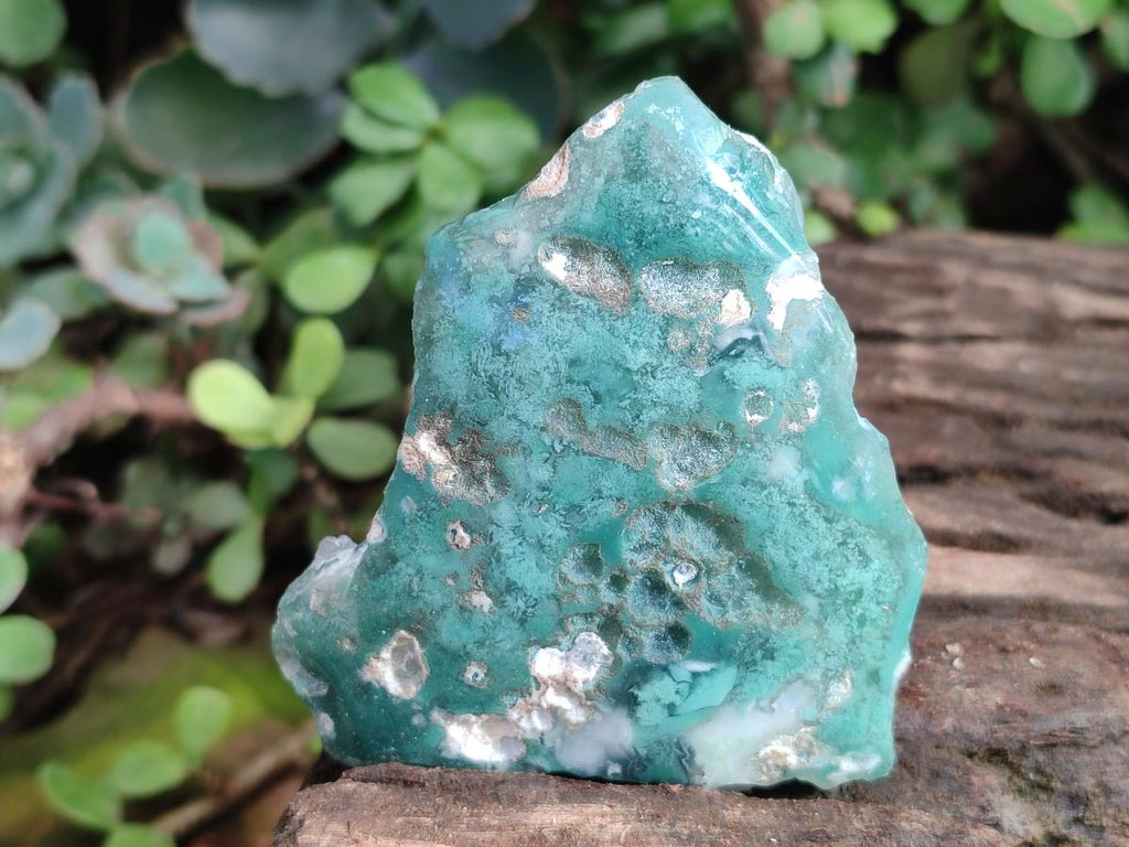 Polished One Side Mtorolite Chrysoprase Slices x 12 From Mutorashanga, Zimbabwe - Toprock Gemstones and Minerals 