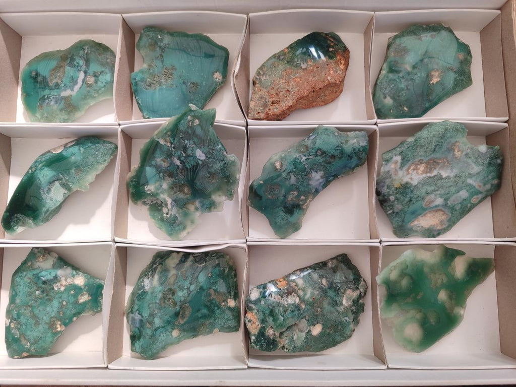 Polished One Side Mtorolite Chrysoprase Slices x 12 From Mutorashanga, Zimbabwe - Toprock Gemstones and Minerals 