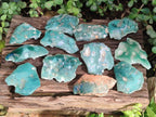 Polished One Side Mtorolite Chrysoprase Slices x 12 From Mutorashanga, Zimbabwe - Toprock Gemstones and Minerals 
