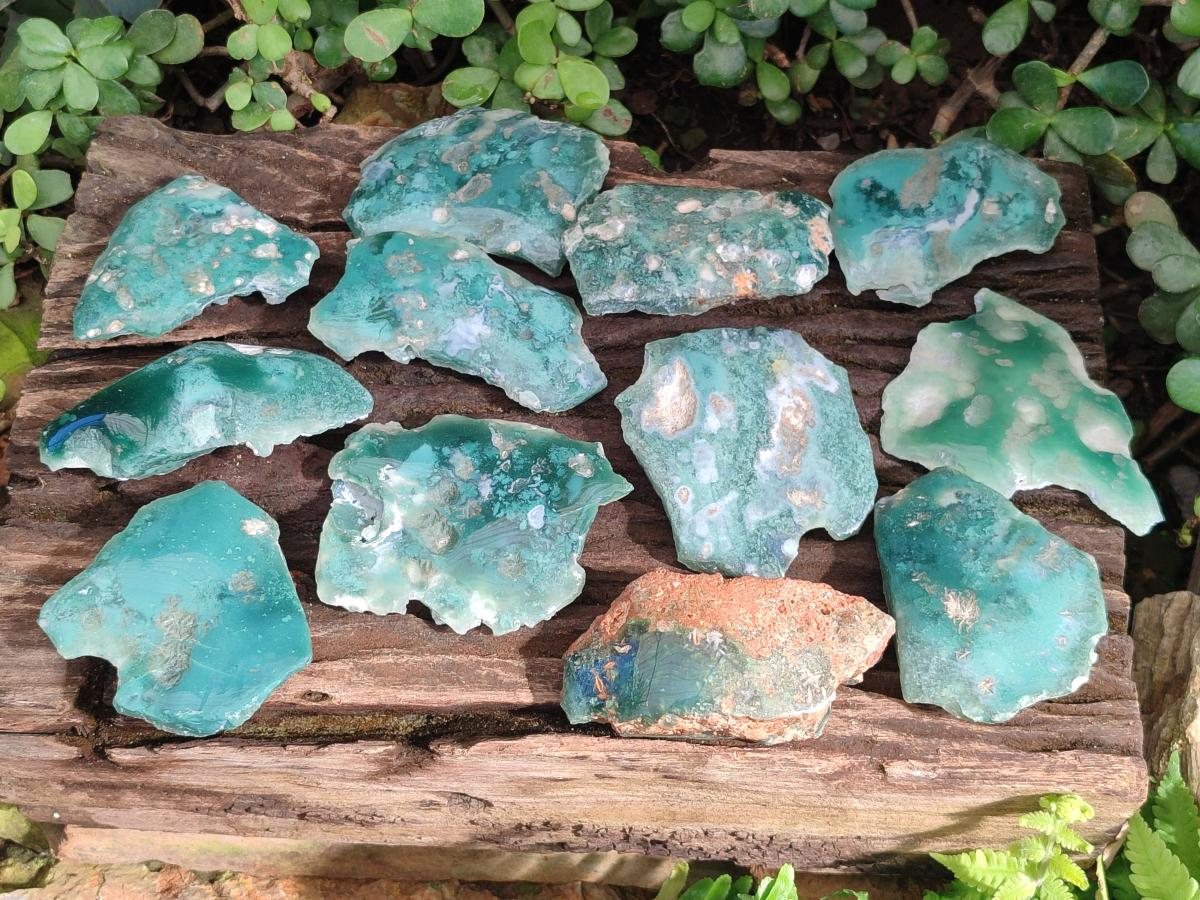 Polished One Side Mtorolite Chrysoprase Slices x 12 From Mutorashanga, Zimbabwe - Toprock Gemstones and Minerals 