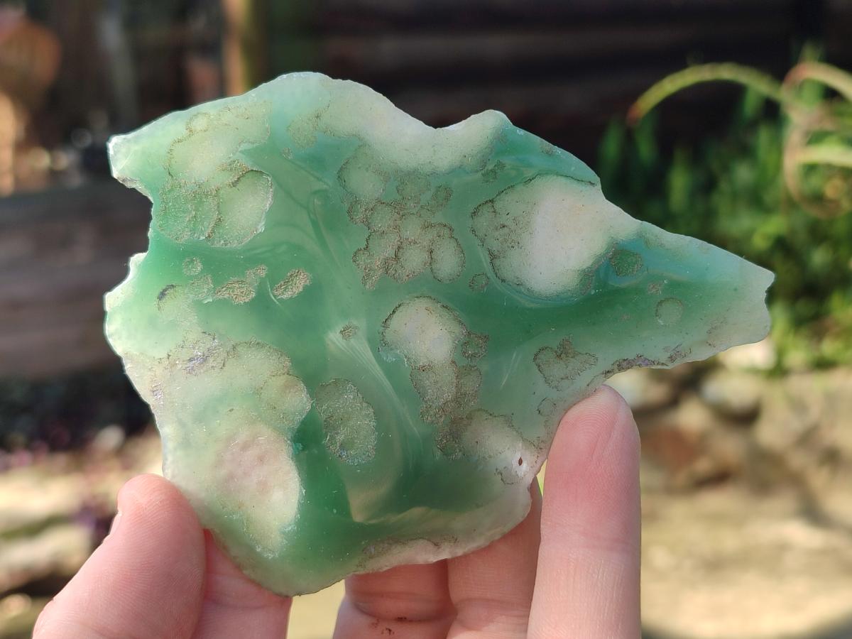 Polished One Side Mtorolite Chrysoprase Slices x 12 From Mutorashanga, Zimbabwe - Toprock Gemstones and Minerals 