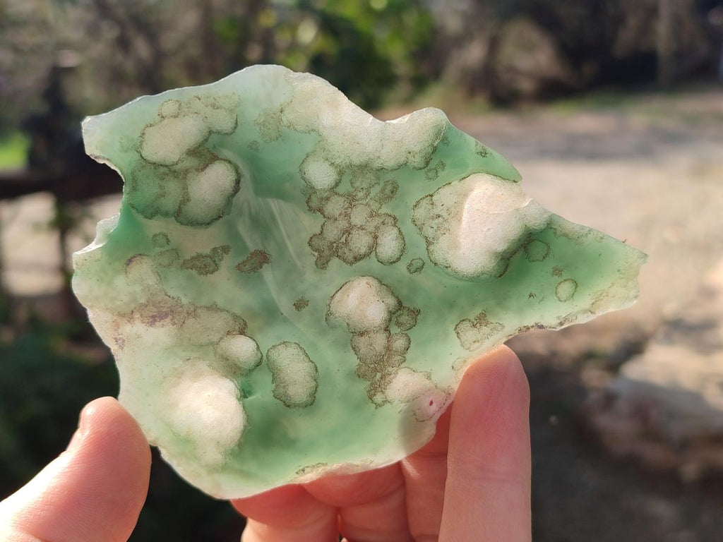 Polished One Side Mtorolite Chrysoprase Slices x 12 From Mutorashanga, Zimbabwe - Toprock Gemstones and Minerals 