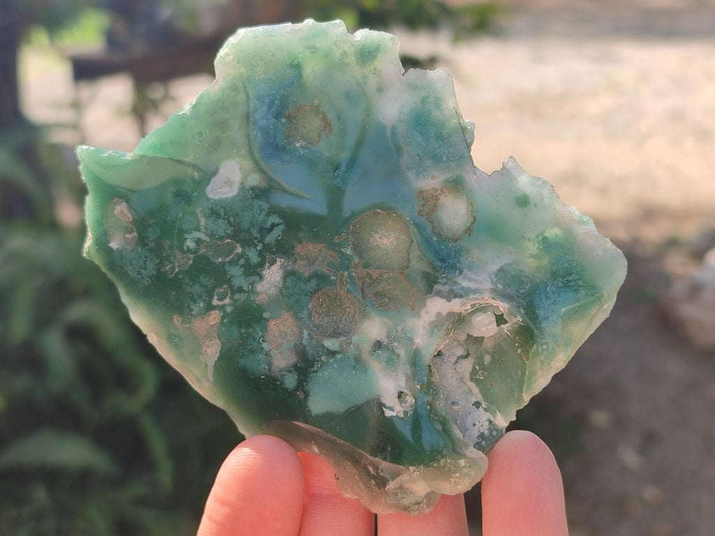 Polished One Side Mtorolite Chrysoprase Slices x 12 From Mutorashanga, Zimbabwe - Toprock Gemstones and Minerals 