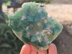 Polished One Side Mtorolite Chrysoprase Slices x 12 From Mutorashanga, Zimbabwe - Toprock Gemstones and Minerals 