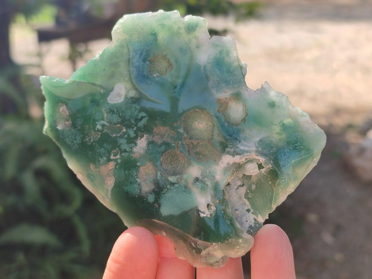 Polished One Side Mtorolite Chrysoprase Slices x 12 From Mutorashanga, Zimbabwe - Toprock Gemstones and Minerals 