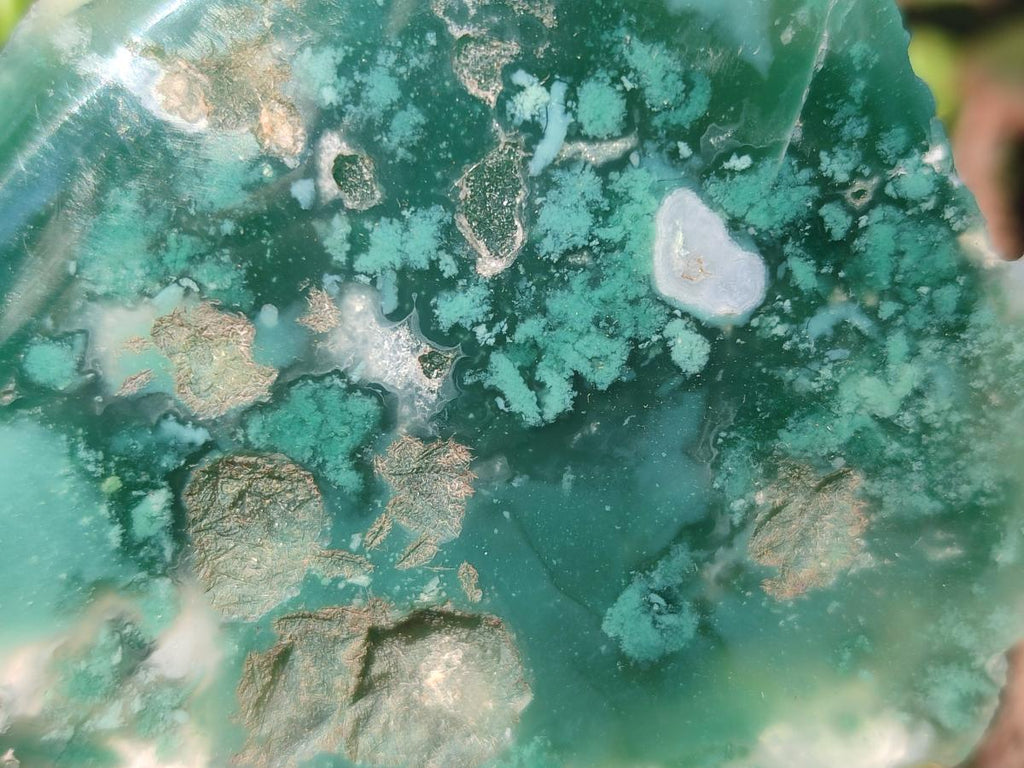 Polished One Side Mtorolite Chrysoprase Slices x 12 From Mutorashanga, Zimbabwe - Toprock Gemstones and Minerals 