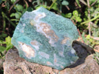Polished One Side Mtorolite Chrysoprase Slices x 12 From Mutorashanga, Zimbabwe - Toprock Gemstones and Minerals 