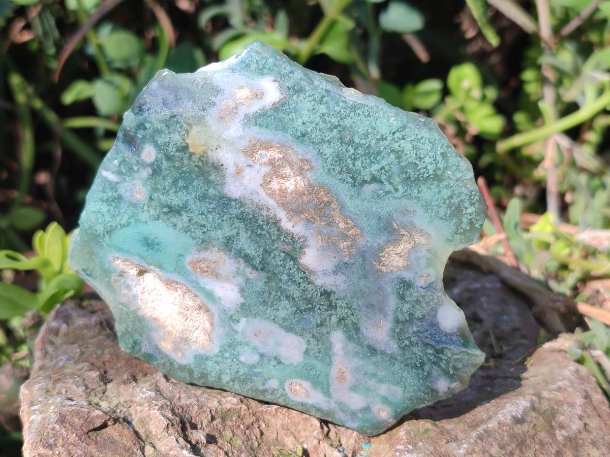 Polished One Side Mtorolite Chrysoprase Slices x 12 From Mutorashanga, Zimbabwe - Toprock Gemstones and Minerals 