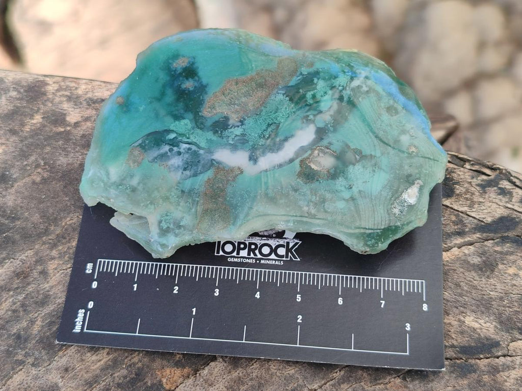 Polished One Side Mtorolite Chrysoprase Slices x 12 From Mutorashanga, Zimbabwe - Toprock Gemstones and Minerals 
