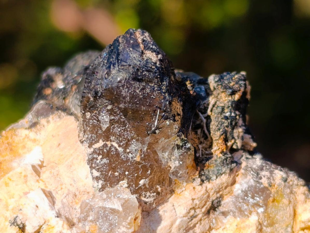Natural Smokey Quartz Crystals and Cluster with Associated Minerals x 4 From Erongo, Namibia - Toprock Gemstones and Minerals 