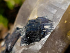 Natural Smokey Quartz Crystals and Cluster with Associated Minerals x 4 From Erongo, Namibia - Toprock Gemstones and Minerals 