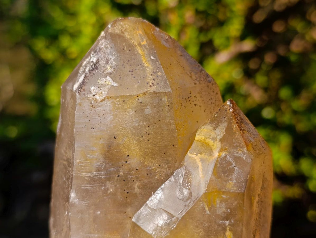 Natural Smokey Quartz Crystals and Cluster with Associated Minerals x 4 From Erongo, Namibia - Toprock Gemstones and Minerals 