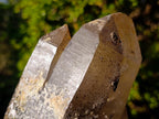 Natural Smokey Quartz Crystals and Cluster with Associated Minerals x 4 From Erongo, Namibia - Toprock Gemstones and Minerals 