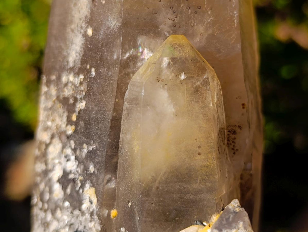 Natural Smokey Quartz Crystals and Cluster with Associated Minerals x 4 From Erongo, Namibia - Toprock Gemstones and Minerals 