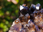 Natural Smokey Quartz Crystals and Cluster with Associated Minerals x 4 From Erongo, Namibia - Toprock Gemstones and Minerals 