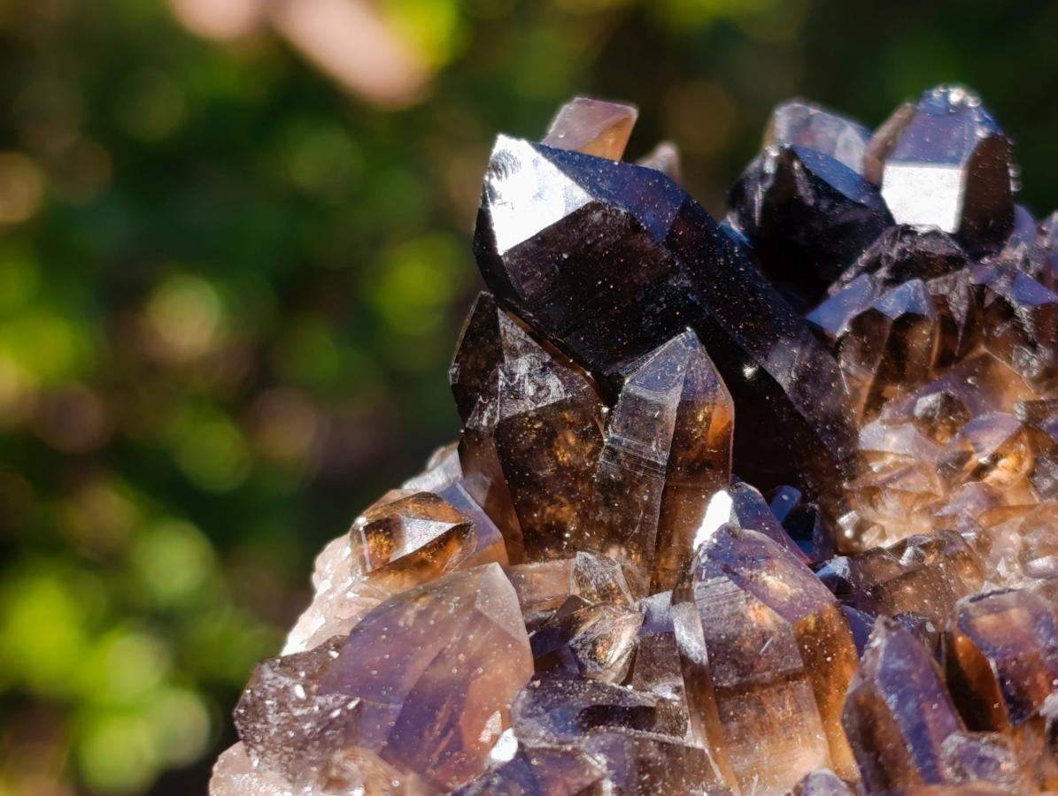 Natural Smokey Quartz Crystals and Cluster with Associated Minerals x 4 From Erongo, Namibia - Toprock Gemstones and Minerals 