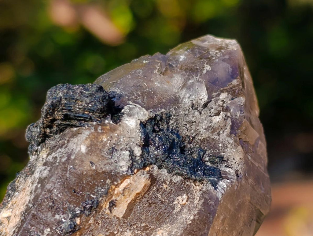Natural Smokey Quartz Crystals and Cluster with Associated Minerals x 4 From Erongo, Namibia - Toprock Gemstones and Minerals 