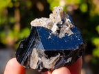 Natural Schorl Black Tourmaline Specimens x 12 From Erongo, Namibia - Toprock Gemstones and Minerals 