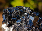 Natural Schorl Black Tourmaline Specimens x 12 From Erongo, Namibia - Toprock Gemstones and Minerals 