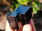 Natural Schorl Black Tourmaline Specimens x 12 From Erongo, Namibia - Toprock Gemstones and Minerals 