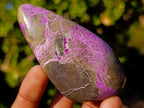 Polished Stichtite Standing Display Pieces x 6 From Barberton, South Africa - Toprock Gemstones and Minerals 