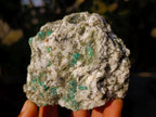Natural Emerald Mica 'Mutokolite' Cobbed Specimens x 5 From Mutoko, Zimbabwe - Toprock Gemstones and Minerals 