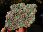 Natural Emerald Mica 'Mutokolite' Cobbed Specimens x 5 From Mutoko, Zimbabwe - Toprock Gemstones and Minerals 