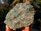 Natural Emerald Mica 'Mutokolite' Cobbed Specimens x 5 From Mutoko, Zimbabwe - Toprock Gemstones and Minerals 