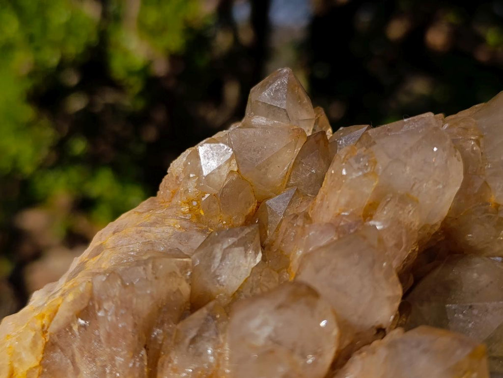 Natural Cascading White Phantom Smokey Luena Quartz Clusters x 2 From Luena, Congo - Toprock Gemstones and Minerals 