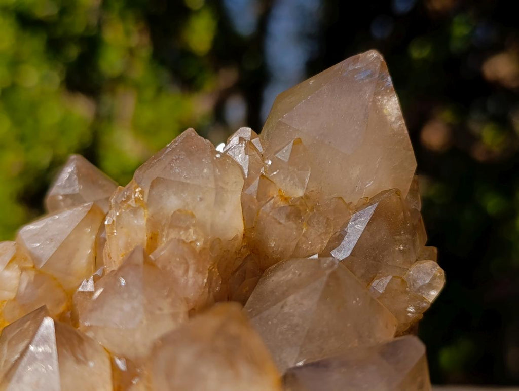 Natural Cascading White Phantom Smokey Luena Quartz Clusters x 2 From Luena, Congo - Toprock Gemstones and Minerals 