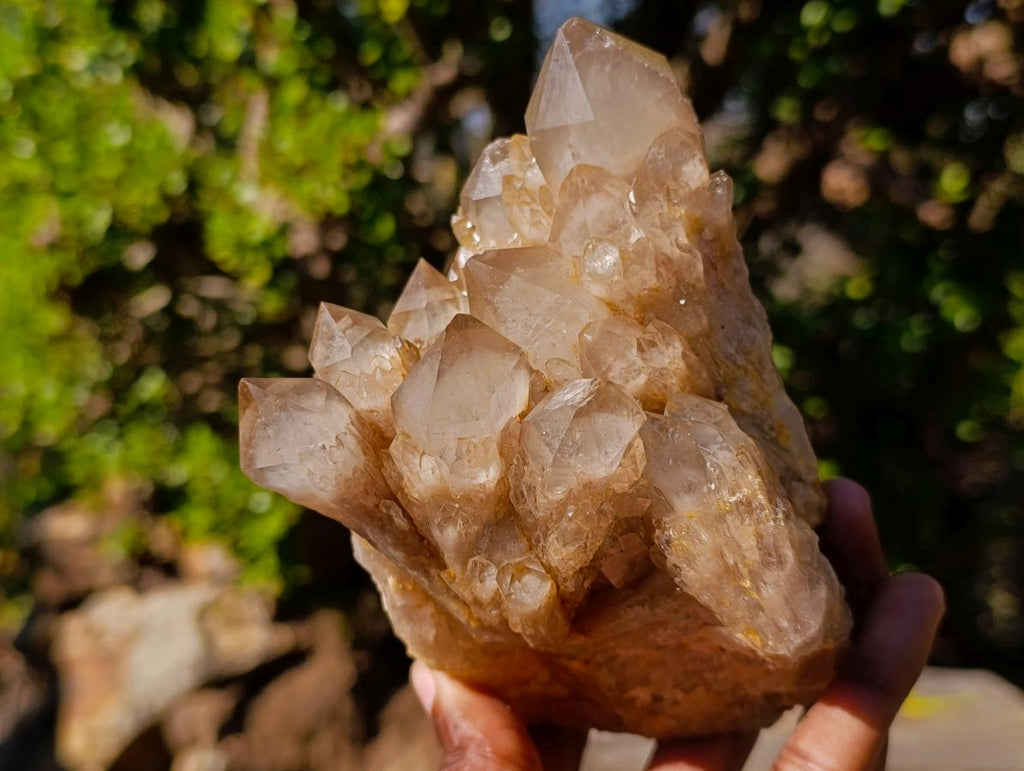Natural Cascading White Phantom Smokey Luena Quartz Clusters x 2 From Luena, Congo - Toprock Gemstones and Minerals 