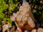 Natural Cascading White Phantom Smokey Luena Quartz Clusters x 2 From Luena, Congo - Toprock Gemstones and Minerals 