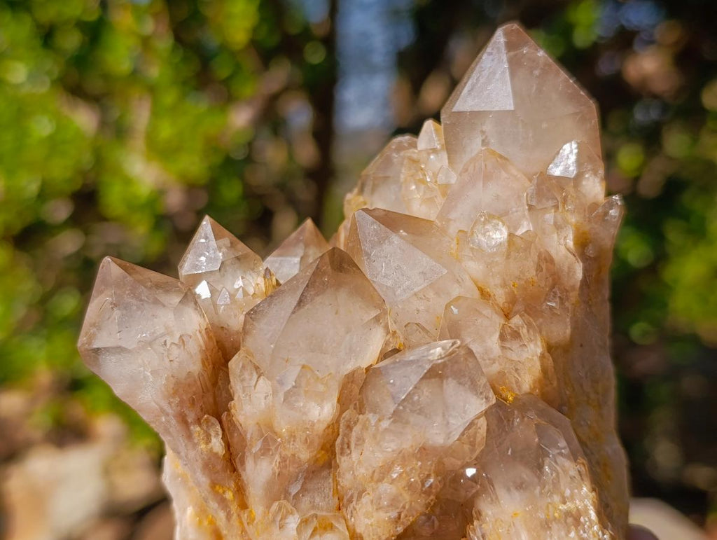 Natural Cascading White Phantom Smokey Luena Quartz Clusters x 2 From Luena, Congo - Toprock Gemstones and Minerals 