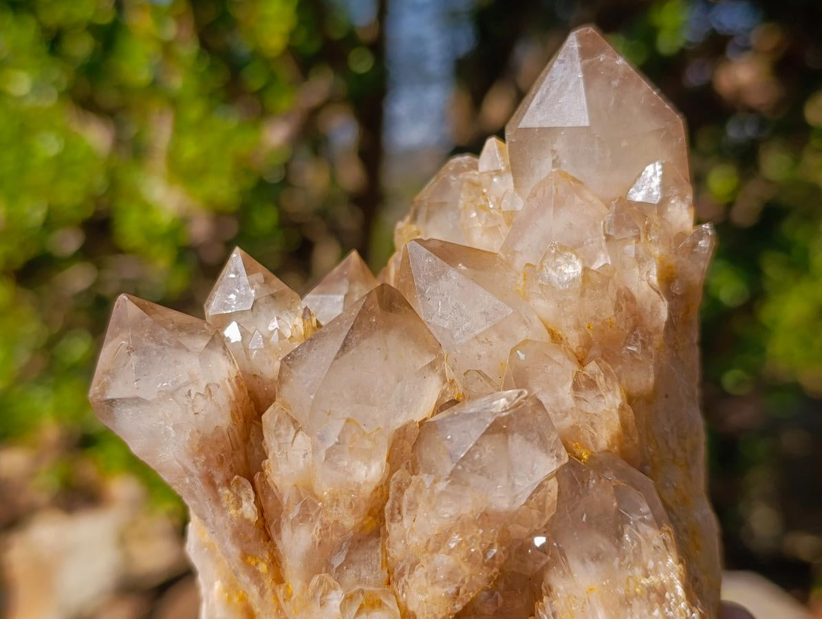 Natural Cascading White Phantom Smokey Luena Quartz Clusters x 2 From Luena, Congo - Toprock Gemstones and Minerals 