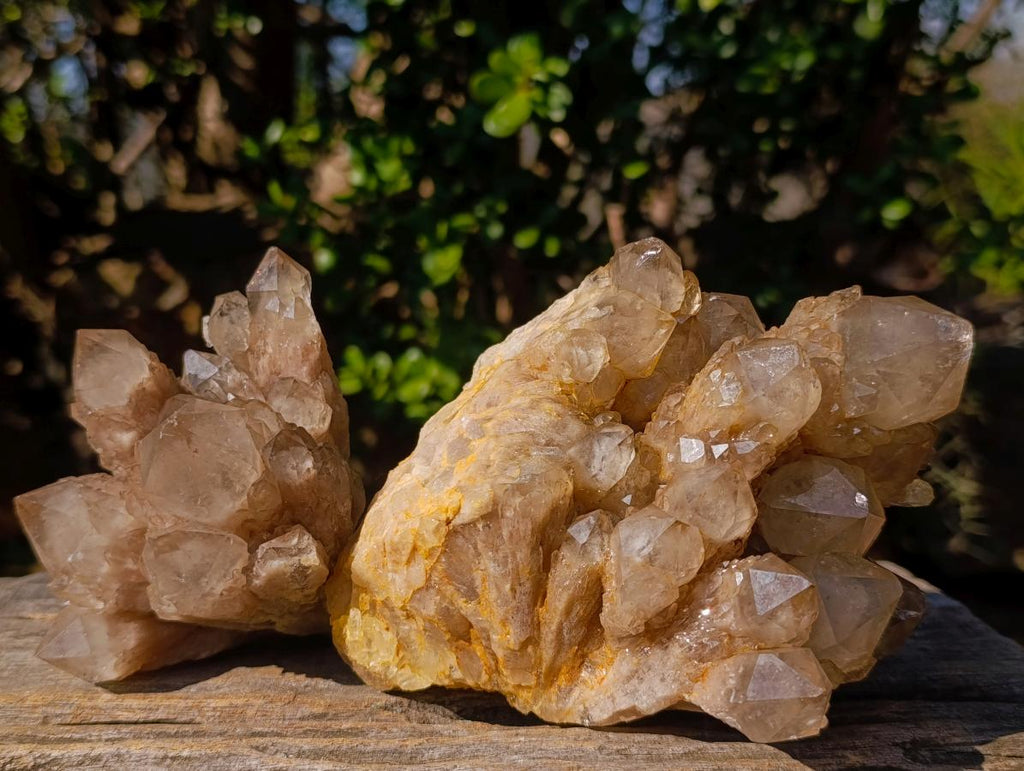 Natural Cascading White Phantom Smokey Luena Quartz Clusters x 2 From Luena, Congo - Toprock Gemstones and Minerals 
